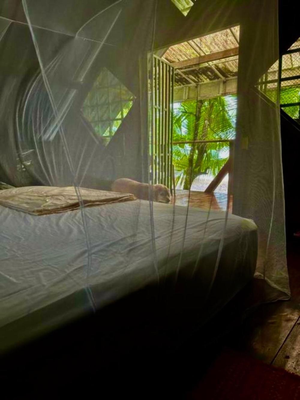 Beach House Drake Bay Bagian luar foto