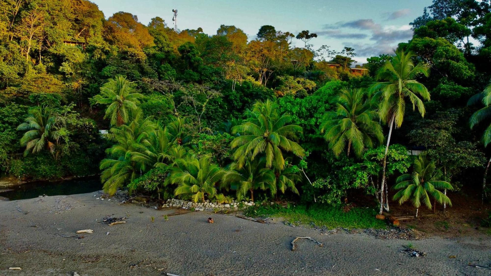 Beach House Drake Bay Bagian luar foto